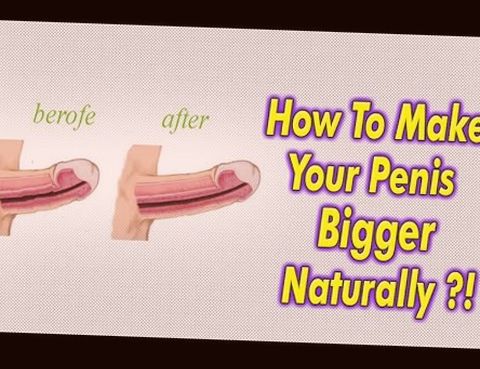 when does your penis grow